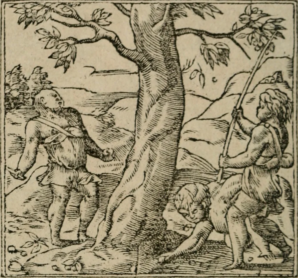 An illustration from Diuerse imprese accommodate a diuerse moralità : con versi che i loro significati dichiarano, 1549, leaf 133