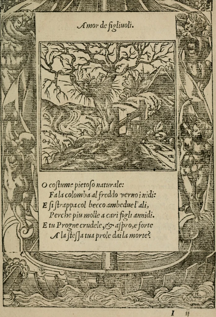 An illustration from Diuerse imprese accommodate a diuerse moralità : con versi che i loro significati dichiarano, 1549, leaf 134