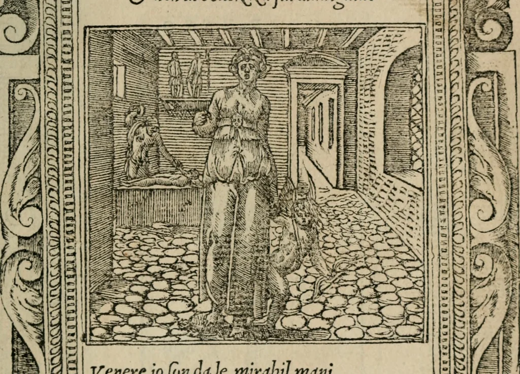 An illustration from Diuerse imprese accommodate a diuerse moralità : con versi che i loro significati dichiarano, 1549, leaf 136