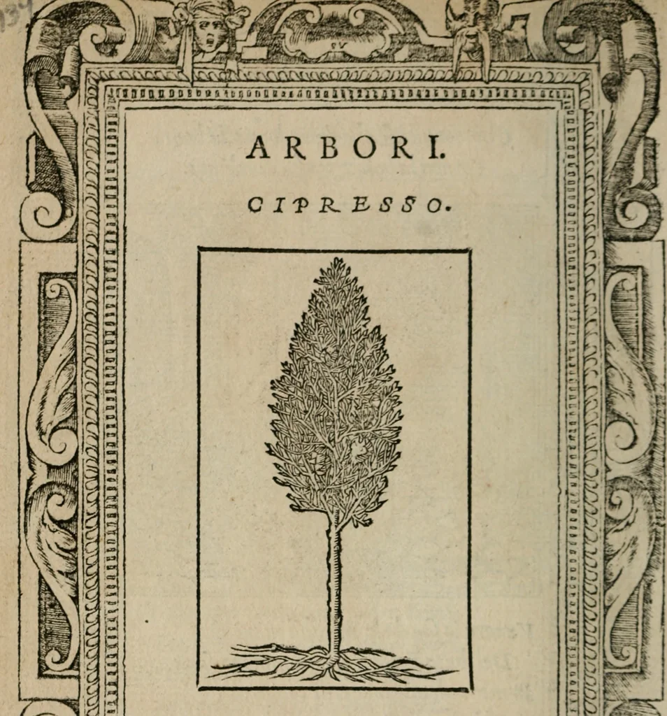 An illustration from Diuerse imprese accommodate a diuerse moralità : con versi che i loro significati dichiarano, 1549, leaf 137