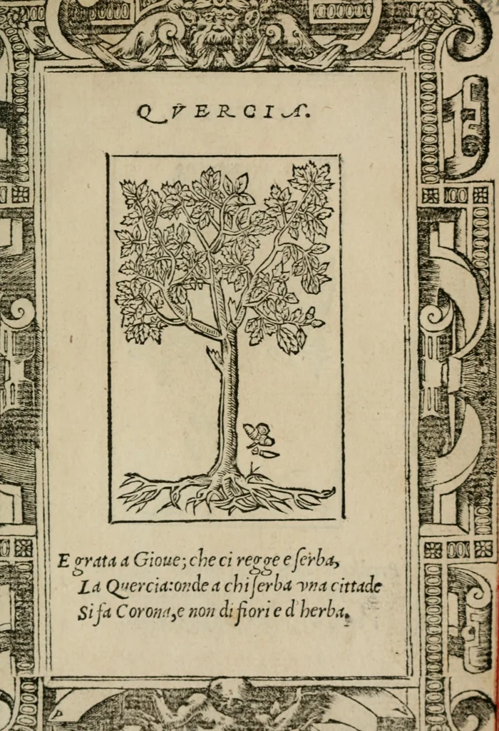 An illustration from Diuerse imprese accommodate a diuerse moralità : con versi che i loro significati dichiarano, 1549, leaf 138