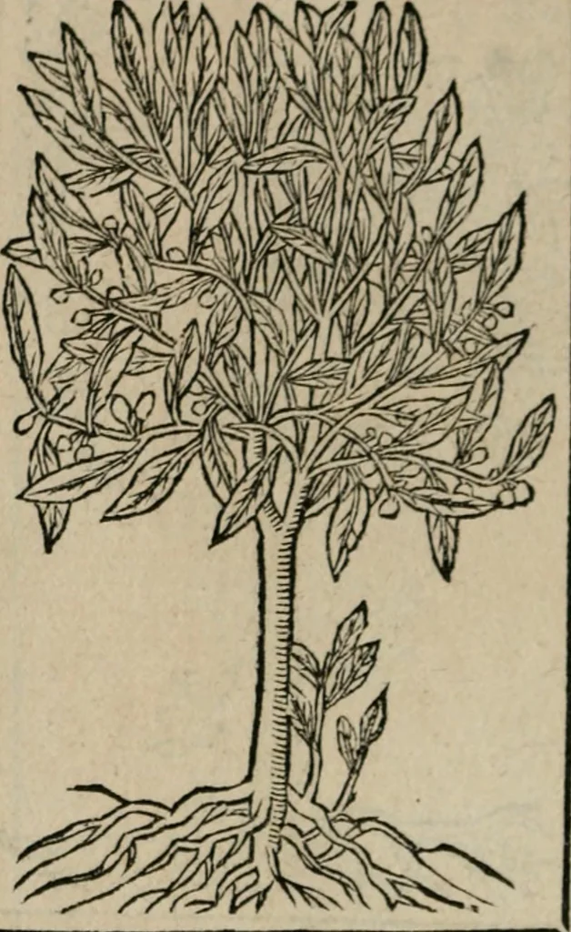An illustration from Diuerse imprese accommodate a diuerse moralità : con versi che i loro significati dichiarano, 1549, leaf 139