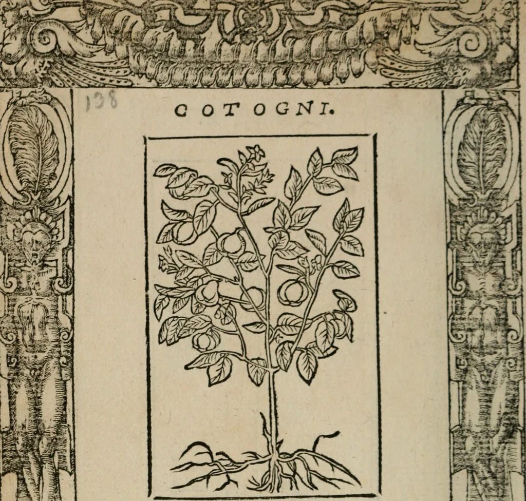 An illustration from Diuerse imprese accommodate a diuerse moralità : con versi che i loro significati dichiarano, 1549, leaf 141