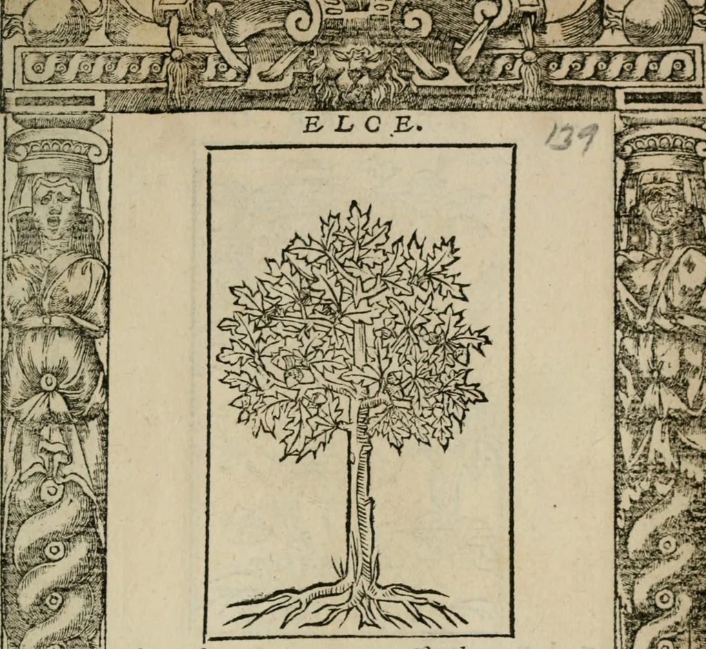 An illustration from Diuerse imprese accommodate a diuerse moralità : con versi che i loro significati dichiarano, 1549, leaf 142