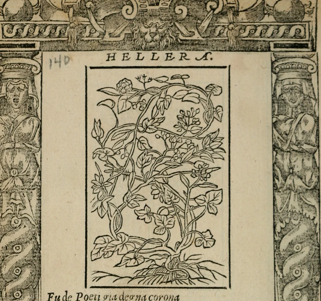 An illustration from Diuerse imprese accommodate a diuerse moralità : con versi che i loro significati dichiarano, 1549, leaf 143