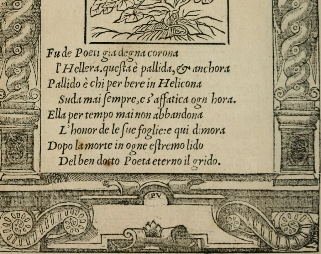 An illustration from Diuerse imprese accommodate a diuerse moralità : con versi che i loro significati dichiarano, 1549, leaf 143