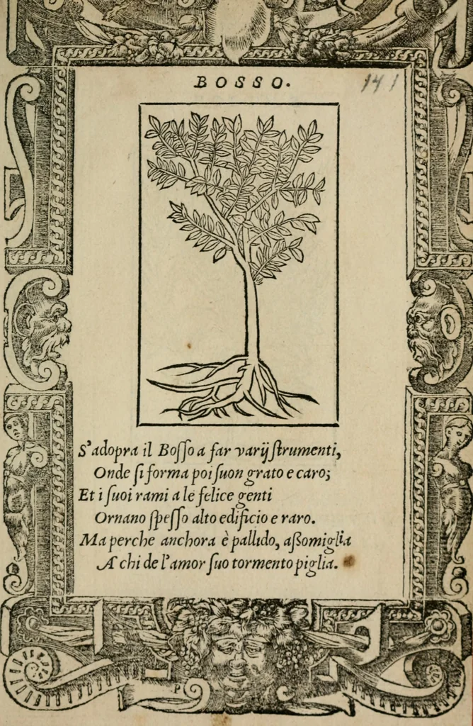An illustration from Diuerse imprese accommodate a diuerse moralità : con versi che i loro significati dichiarano, 1549, leaf 144