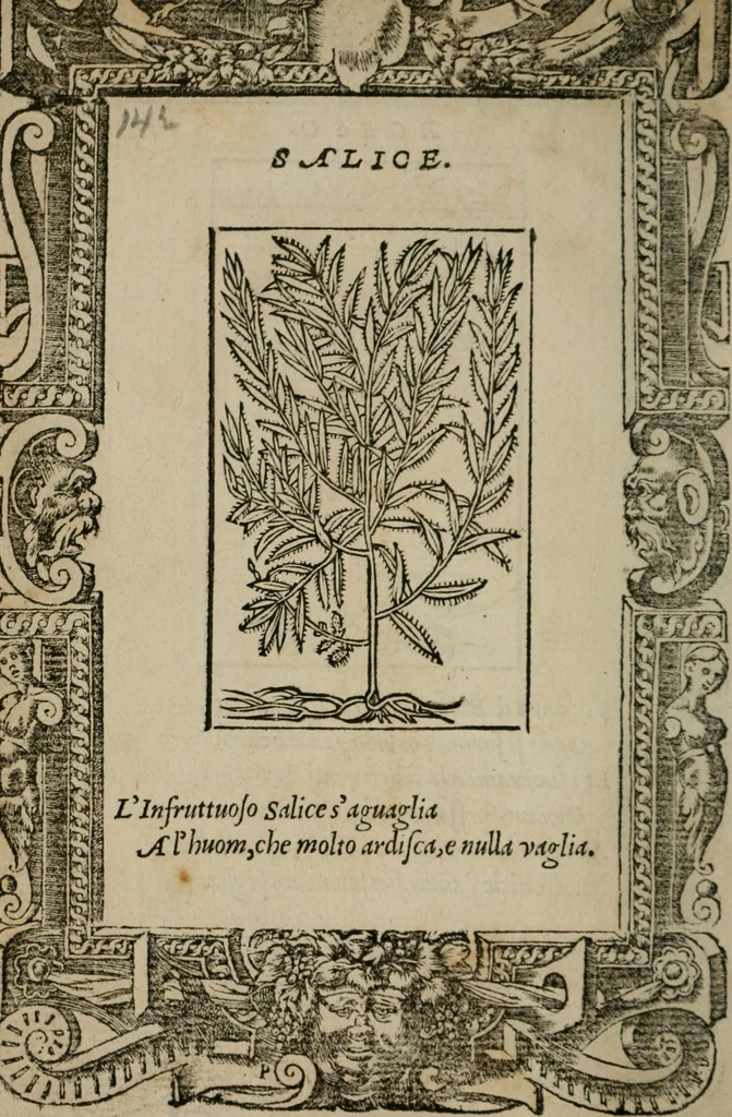 An illustration from Diuerse imprese accommodate a diuerse moralità : con versi che i loro significati dichiarano, 1549, leaf 145