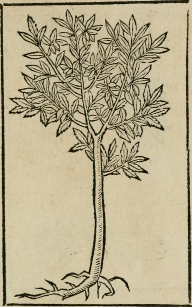 An illustration from Diuerse imprese accommodate a diuerse moralità : con versi che i loro significati dichiarano, 1549, leaf 146