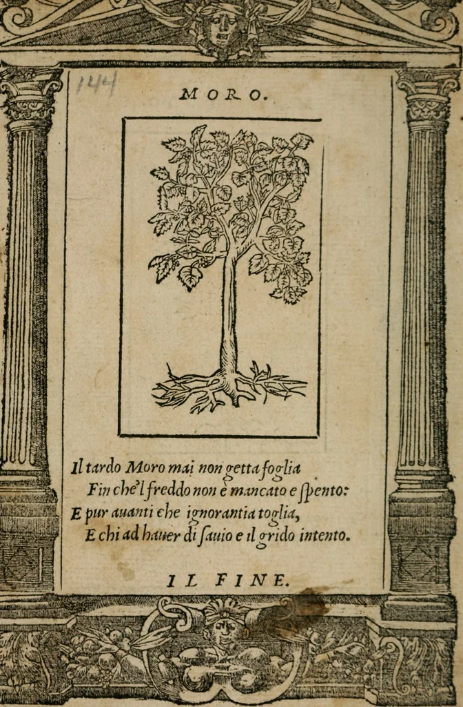 An illustration from Diuerse imprese accommodate a diuerse moralità : con versi che i loro significati dichiarano, 1549, leaf 147