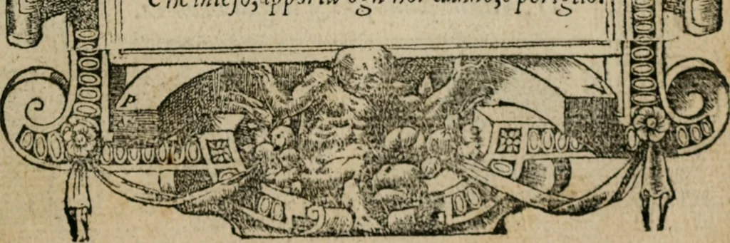 An illustration from Diuerse imprese accommodate a diuerse moralità : con versi che i loro significati dichiarano, 1549, leaf 16