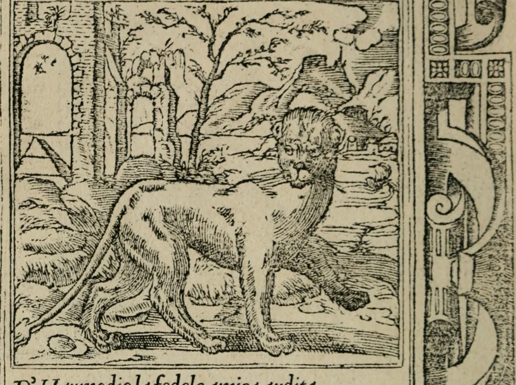 An illustration from Diuerse imprese accommodate a diuerse moralità : con versi che i loro significati dichiarano, 1549, leaf 17