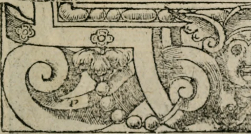 An illustration from Diuerse imprese accommodate a diuerse moralità : con versi che i loro significati dichiarano, 1549, leaf 22