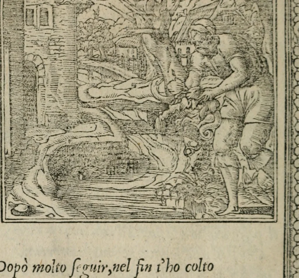 An illustration from Diuerse imprese accommodate a diuerse moralità : con versi che i loro significati dichiarano, 1549, leaf 25