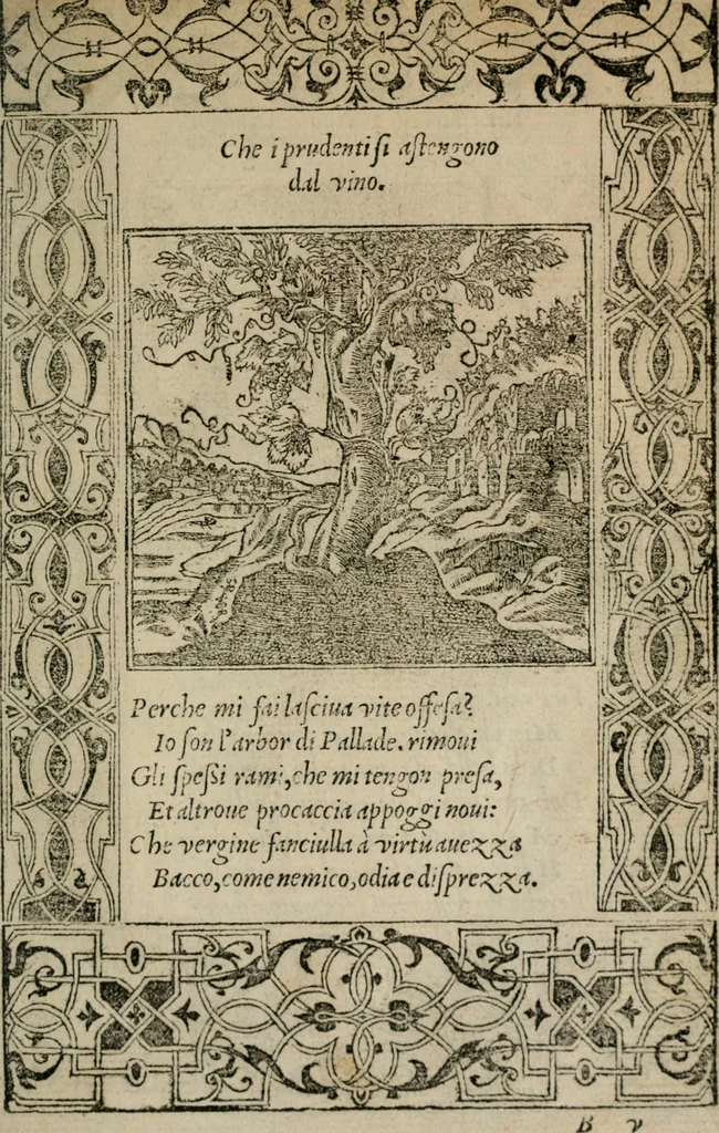 An illustration from Diuerse imprese accommodate a diuerse moralità : con versi che i loro significati dichiarano, 1549, leaf 28