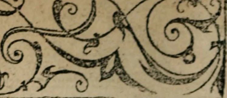 An illustration from Diuerse imprese accommodate a diuerse moralità : con versi che i loro significati dichiarano, 1549, leaf 31