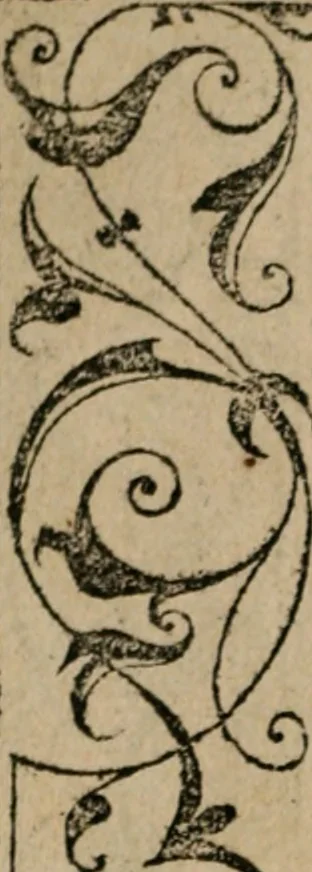 An illustration from Diuerse imprese accommodate a diuerse moralità : con versi che i loro significati dichiarano, 1549, leaf 31