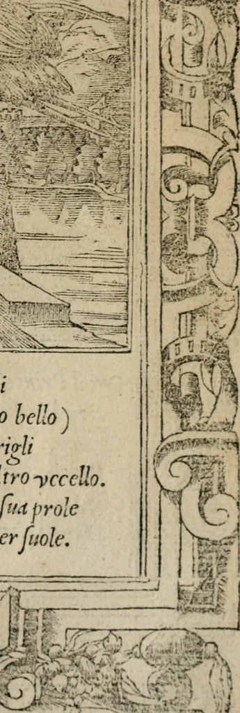 An illustration from Diuerse imprese accommodate a diuerse moralità : con versi che i loro significati dichiarano, 1549, leaf 34
