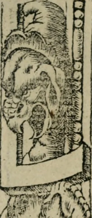 An illustration from Diuerse imprese accommodate a diuerse moralità : con versi che i loro significati dichiarano, 1549, leaf 38