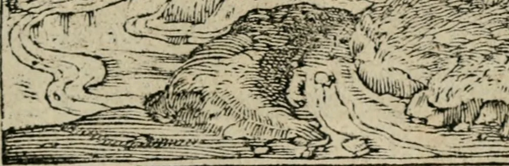 An illustration from Diuerse imprese accommodate a diuerse moralità : con versi che i loro significati dichiarano, 1549, leaf 40