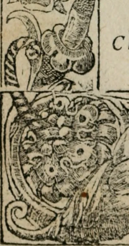 An illustration from Diuerse imprese accommodate a diuerse moralità : con versi che i loro significati dichiarano, 1549, leaf 41