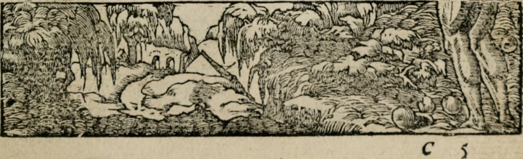 An illustration from Diuerse imprese accommodate a diuerse moralità : con versi che i loro significati dichiarano, 1549, leaf 44