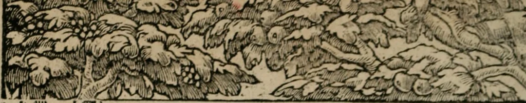 An illustration from Diuerse imprese accommodate a diuerse moralità : con versi che i loro significati dichiarano, 1549, leaf 45