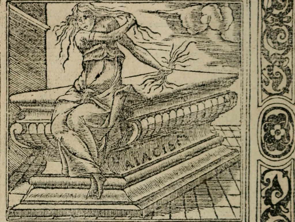 An illustration from Diuerse imprese accommodate a diuerse moralità : con versi che i loro significati dichiarano, 1549, leaf 51