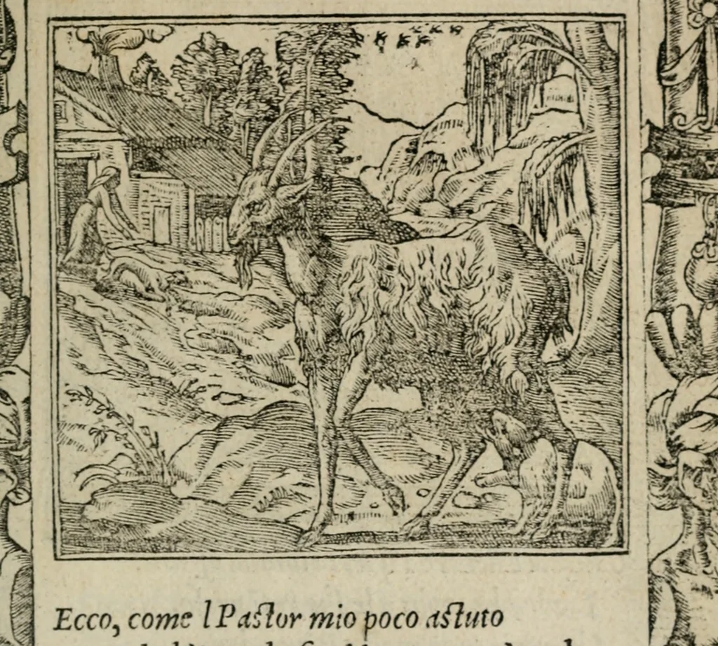 An illustration from Diuerse imprese accommodate a diuerse moralità : con versi che i loro significati dichiarano, 1549, leaf 58