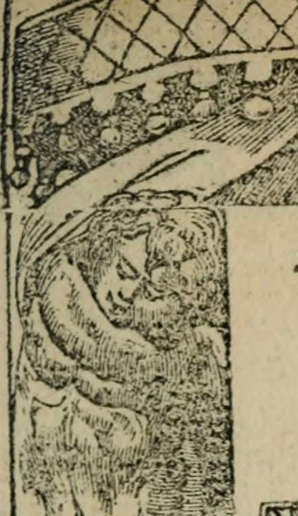 An illustration from Diuerse imprese accommodate a diuerse moralità : con versi che i loro significati dichiarano, 1549, leaf 6