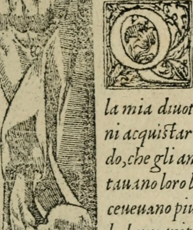 An illustration from Diuerse imprese accommodate a diuerse moralità : con versi che i loro significati dichiarano, 1549, leaf 6