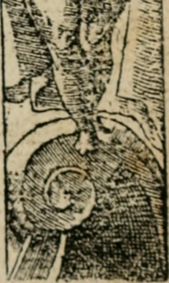 An illustration from Diuerse imprese accommodate a diuerse moralità : con versi che i loro significati dichiarano, 1549, leaf 6