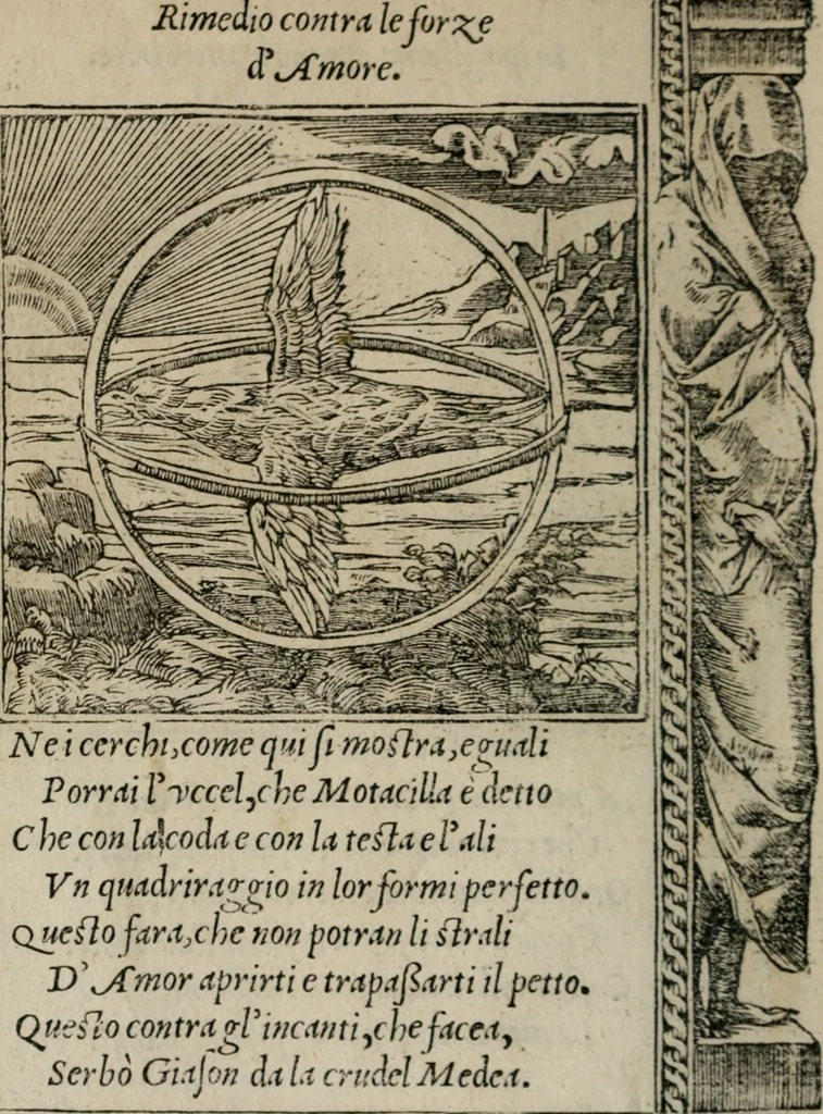 An illustration from Diuerse imprese accommodate a diuerse moralità : con versi che i loro significati dichiarano, 1549, leaf 61