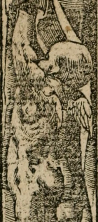 An illustration from Diuerse imprese accommodate a diuerse moralità : con versi che i loro significati dichiarano, 1549, leaf 69
