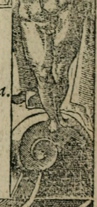 An illustration from Diuerse imprese accommodate a diuerse moralità : con versi che i loro significati dichiarano, 1549, leaf 7