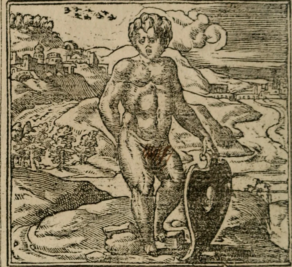 An illustration from Diuerse imprese accommodate a diuerse moralità : con versi che i loro significati dichiarano, 1549, leaf 81