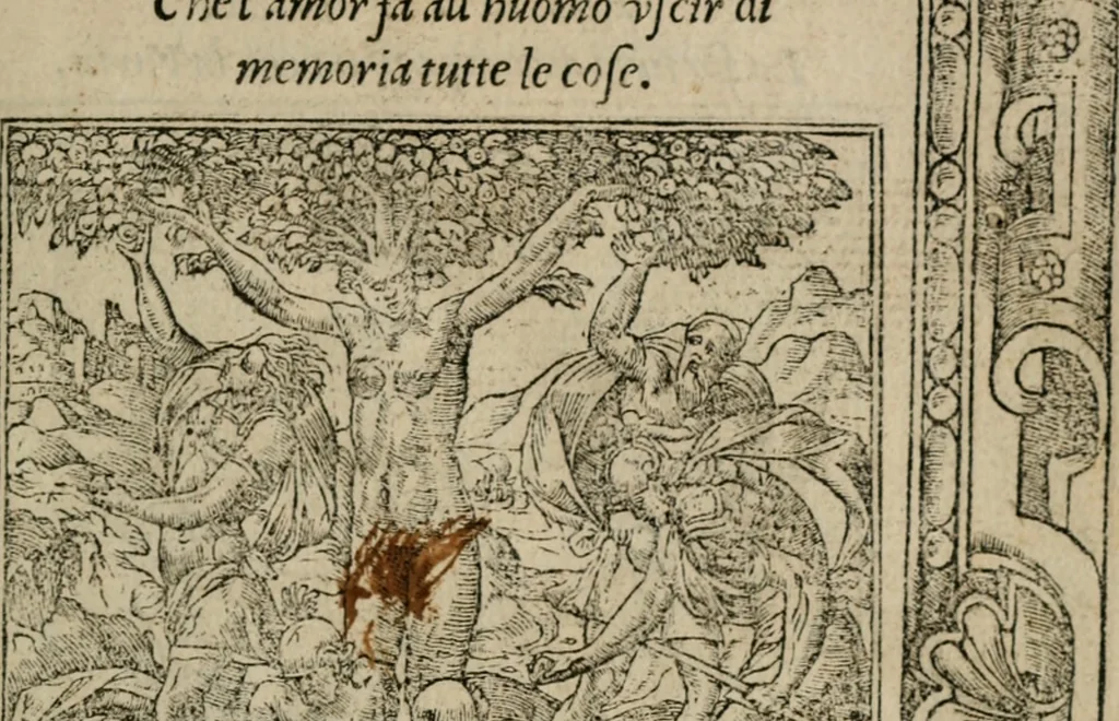 An illustration from Diuerse imprese accommodate a diuerse moralità : con versi che i loro significati dichiarano, 1549, leaf 84