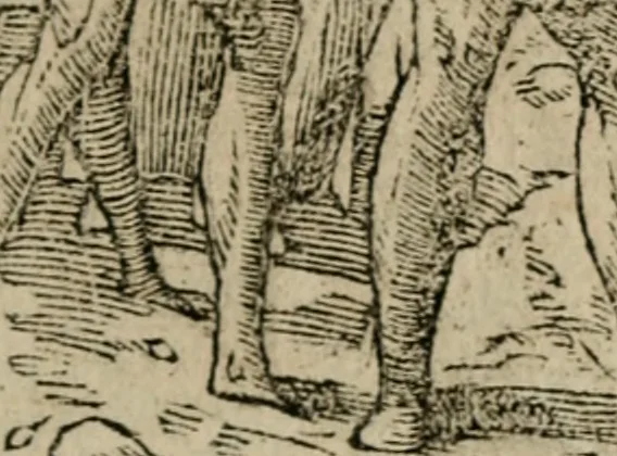 An illustration from Diuerse imprese accommodate a diuerse moralità : con versi che i loro significati dichiarano, 1549, leaf 96