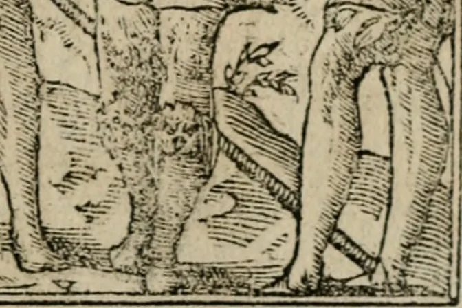 An illustration from Diuerse imprese accommodate a diuerse moralità : con versi che i loro significati dichiarano, 1549, leaf 96