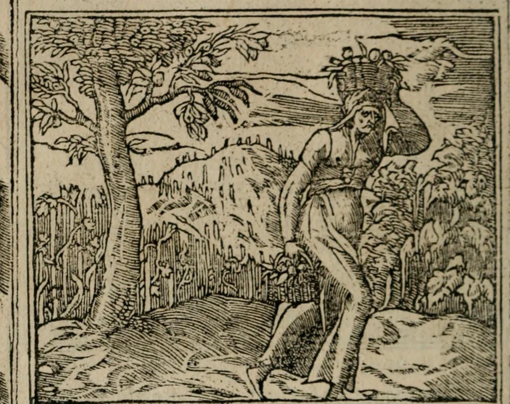 An illustration from Diuerse imprese accommodate a diuerse moralità : con versi che i loro significati dichiarano, 1549, leaf 97