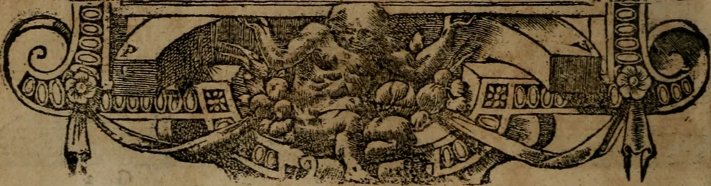 An illustration from Diverse imprese accommodate a diuerse moralità, con versi che i loro significati dichiarano insieme con molte altre nella lingua italiana non piu tradotte, 1564, leaf 103
