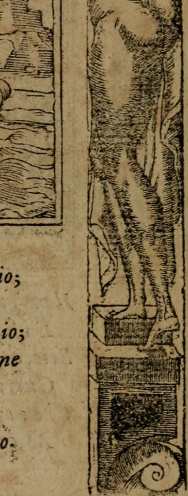An illustration from Diverse imprese accommodate a diuerse moralità, con versi che i loro significati dichiarano insieme con molte altre nella lingua italiana non piu tradotte, 1564, leaf 104
