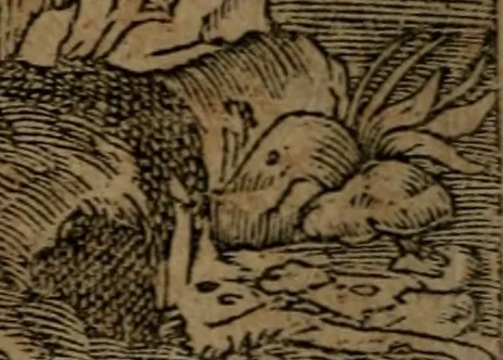 An illustration from Diverse imprese accommodate a diuerse moralità, con versi che i loro significati dichiarano insieme con molte altre nella lingua italiana non piu tradotte, 1564, leaf 107