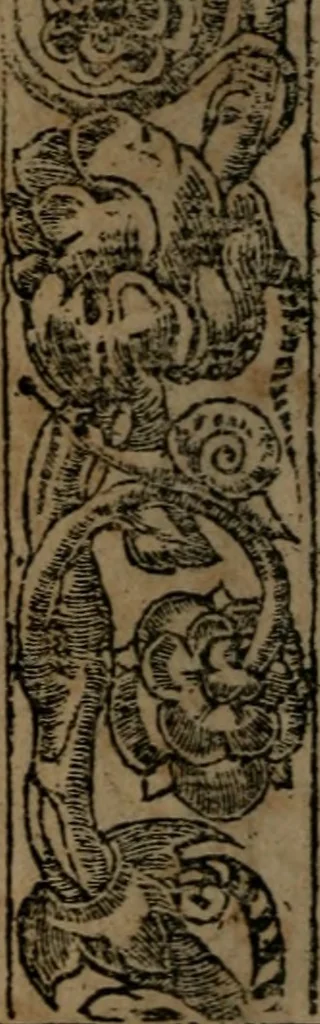 An illustration from Diverse imprese accommodate a diuerse moralità, con versi che i loro significati dichiarano insieme con molte altre nella lingua italiana non piu tradotte, 1564, leaf 109