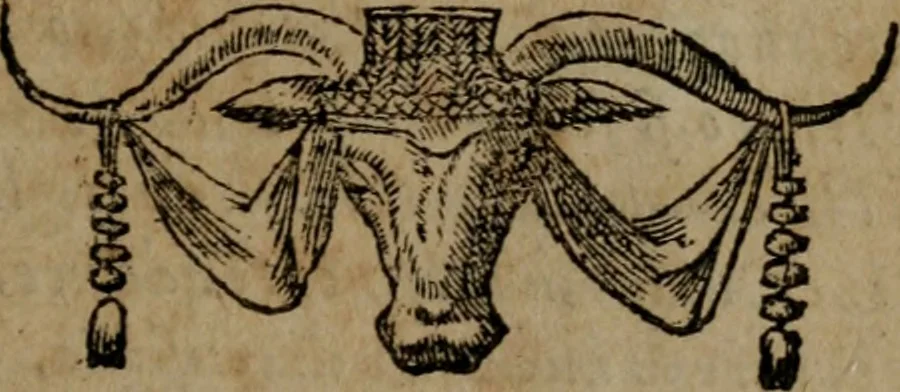 An illustration from Diverse imprese accommodate a diuerse moralità, con versi che i loro significati dichiarano insieme con molte altre nella lingua italiana non piu tradotte, 1564, leaf 114