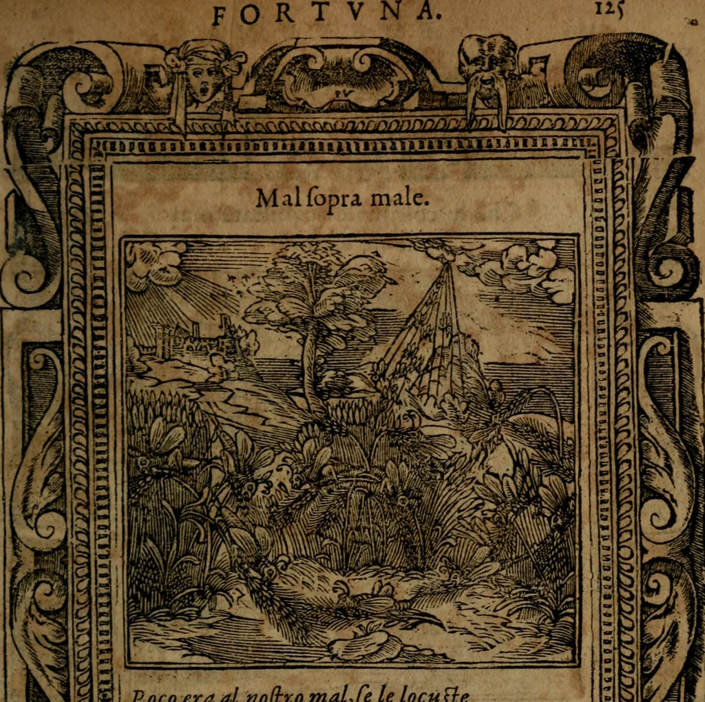 An illustration from Diverse imprese accommodate a diuerse moralità, con versi che i loro significati dichiarano insieme con molte altre nella lingua italiana non piu tradotte, 1564, leaf 128