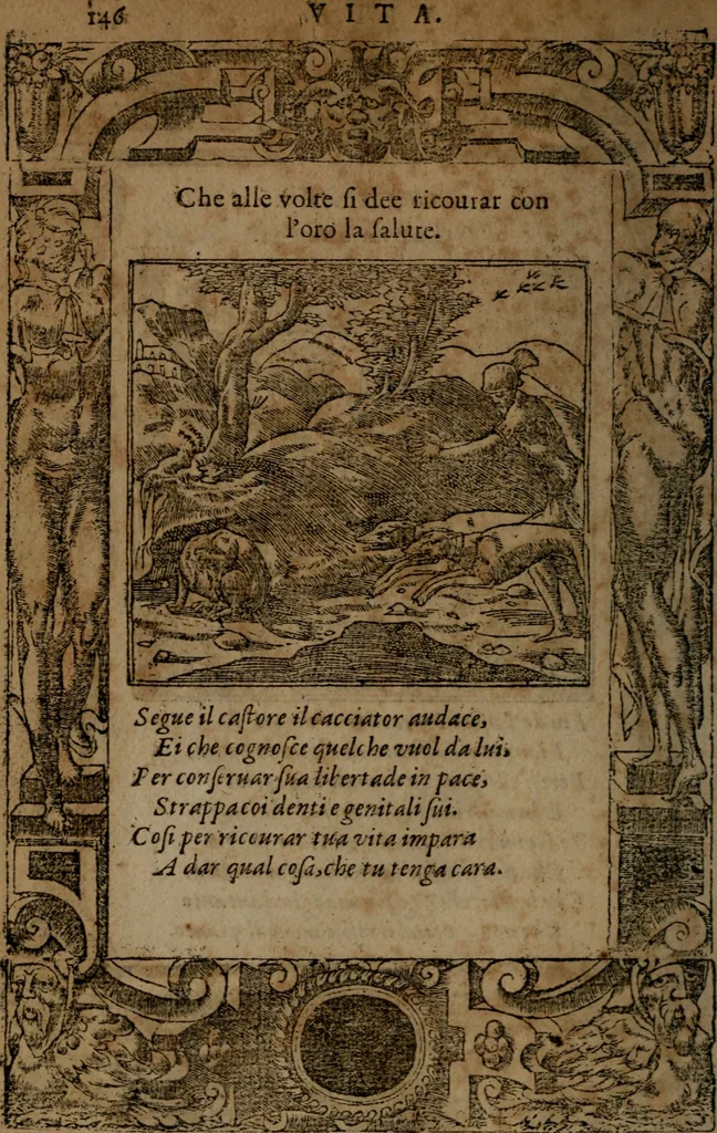 An illustration from Diverse imprese accommodate a diuerse moralità, con versi che i loro significati dichiarano insieme con molte altre nella lingua italiana non piu tradotte, 1564, leaf 149