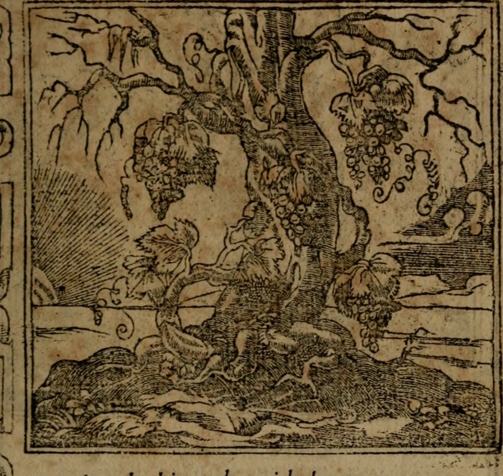 An illustration from Diverse imprese accommodate a diuerse moralità, con versi che i loro significati dichiarano insieme con molte altre nella lingua italiana non piu tradotte, 1564, leaf 154