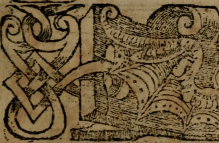 An illustration from Diverse imprese accommodate a diuerse moralità, con versi che i loro significati dichiarano insieme con molte altre nella lingua italiana non piu tradotte, 1564, leaf 154