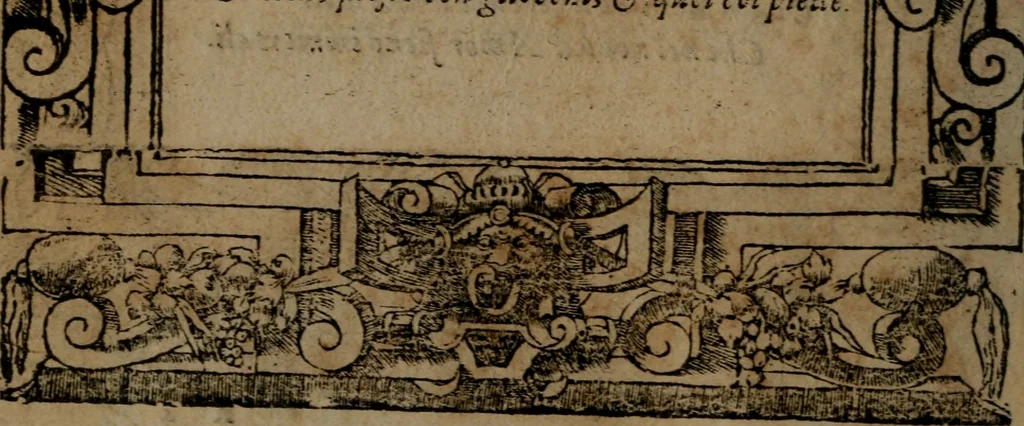 An illustration from Diverse imprese accommodate a diuerse moralità, con versi che i loro significati dichiarano insieme con molte altre nella lingua italiana non piu tradotte, 1564, leaf 155
